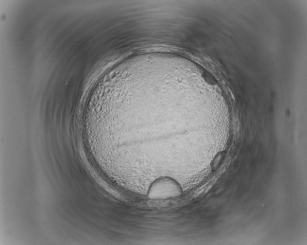 X0000078830049200612111530