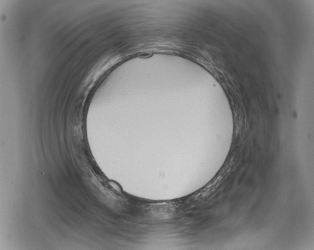 X0000078830050200612111530