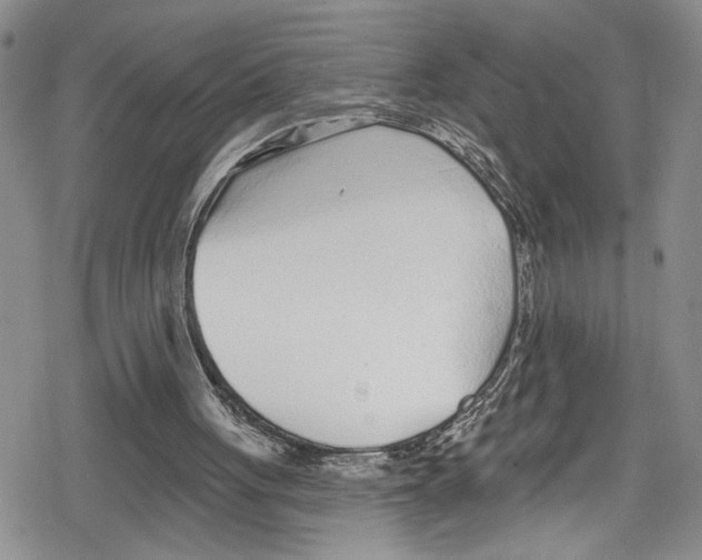 X0000078830051200612111530