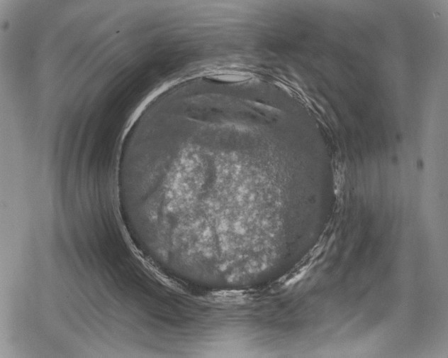 X0000078830052200612111530