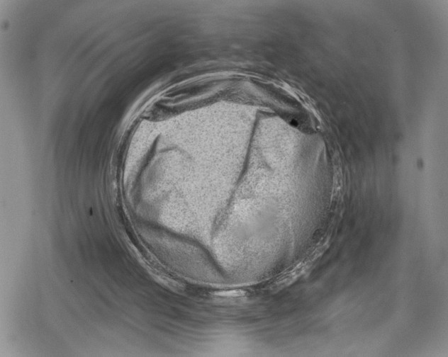 X0000078830053200612111530