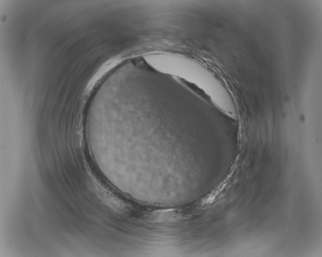 X0000078830054200612111530