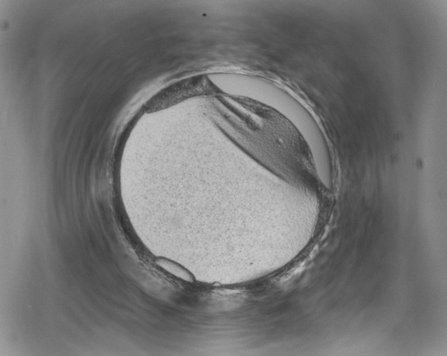 X0000078830055200612111530