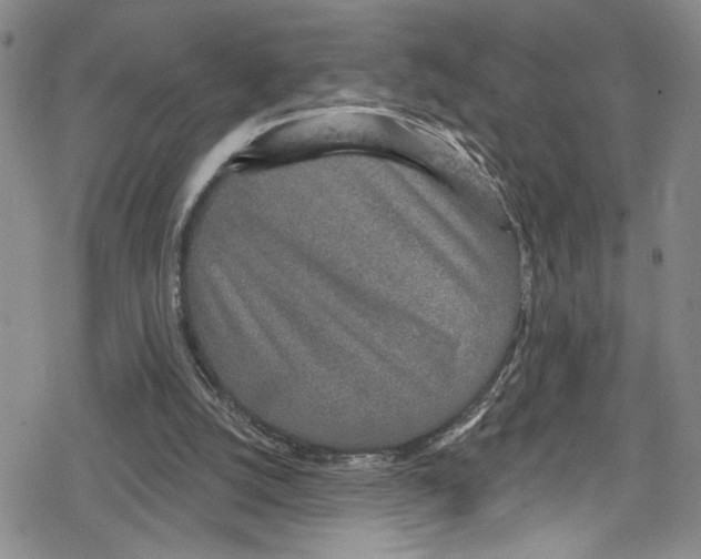 X0000078830056200612111530