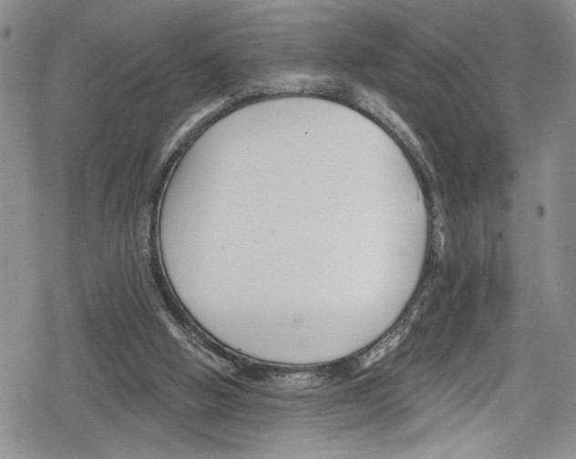 X0000078830058200612111530