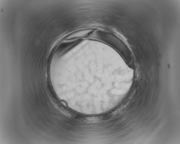 X0000078830059200612111530