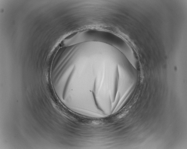 X0000078830060200612111530