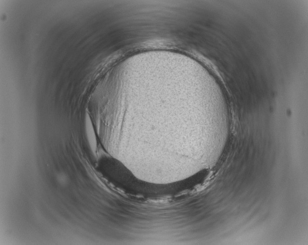 X0000078830061200612111530