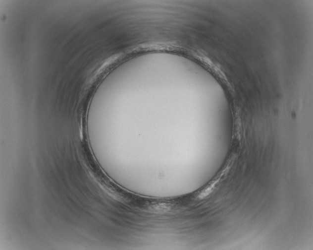 X0000078830062200612111530