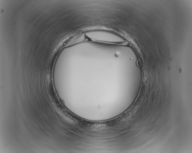 X0000078830063200612111530