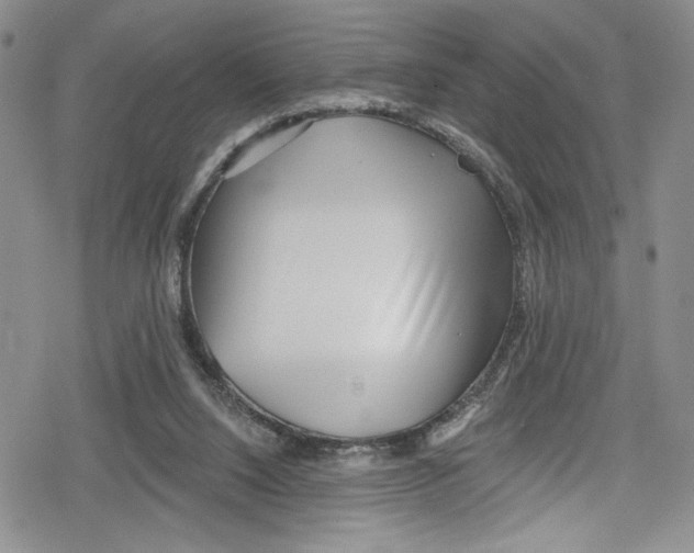 X0000078830064200612111530