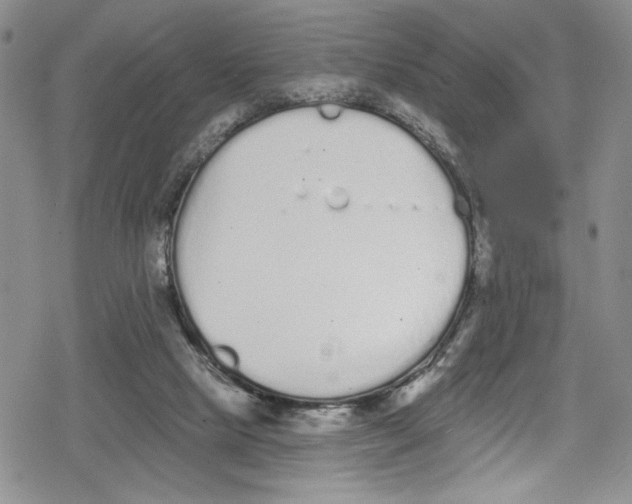 X0000078830065200612111530