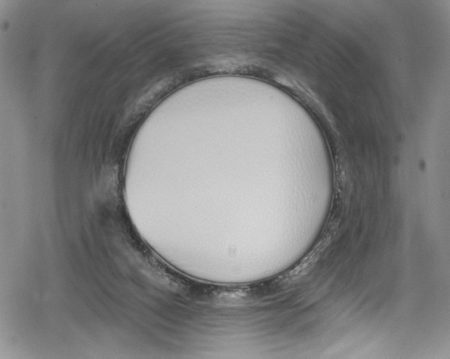 X0000078830066200612111530