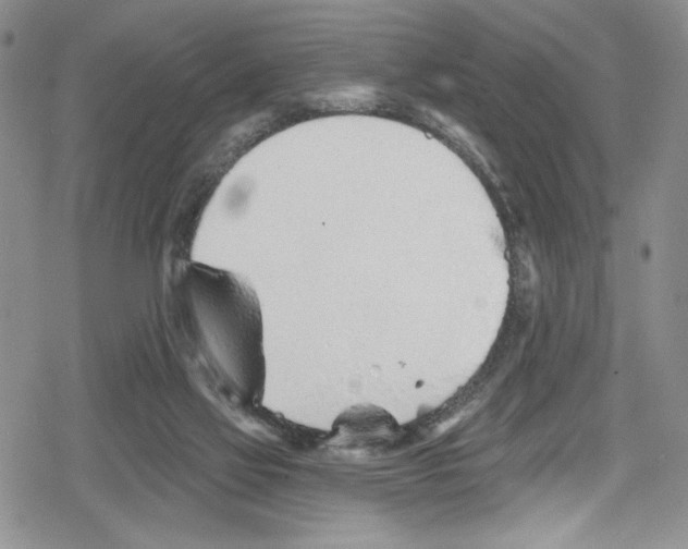 X0000078830069200612111530