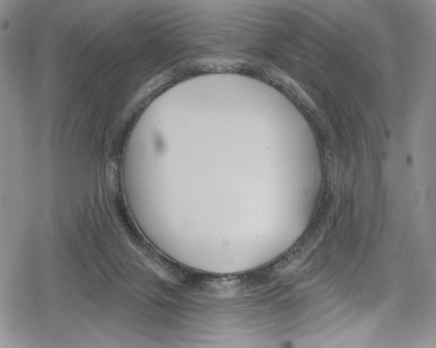 X0000078830071200612111530