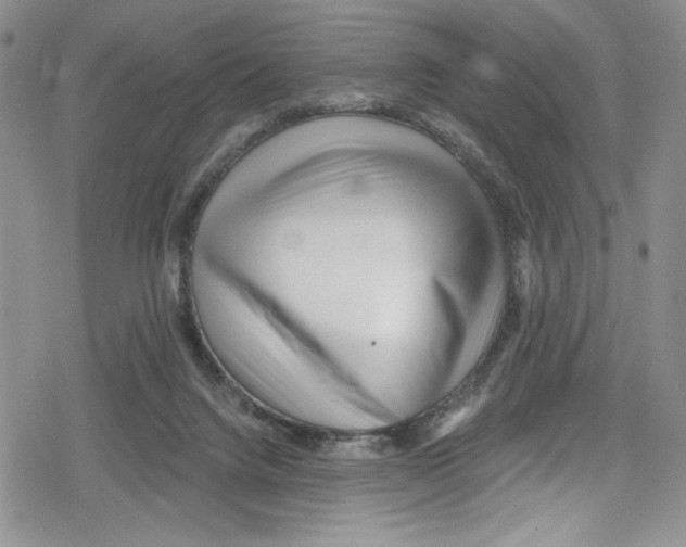 X0000078830072200612111530