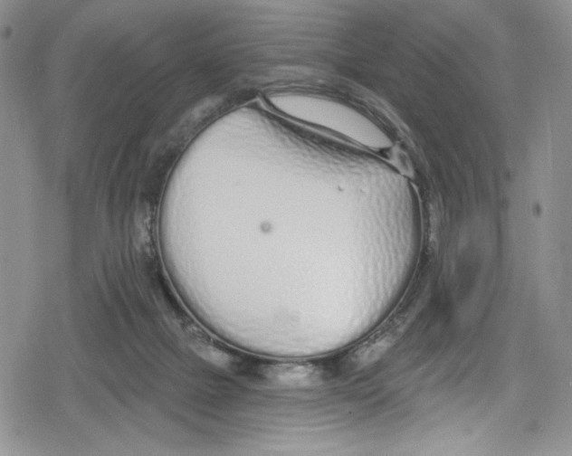 X0000078830073200612111530