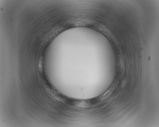 X0000078830074200612111530