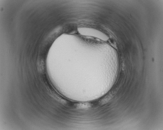 X0000078830077200612111530