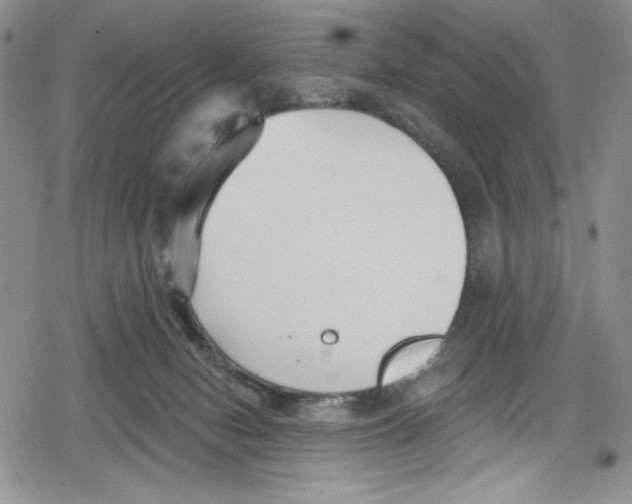 X0000078830078200612111530