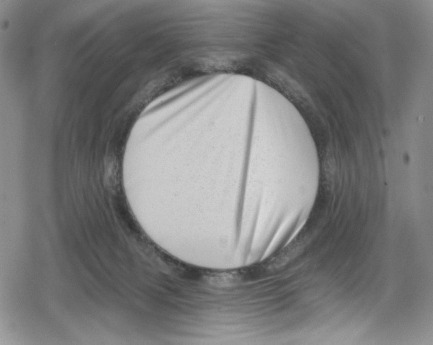 X0000078830079200612111530