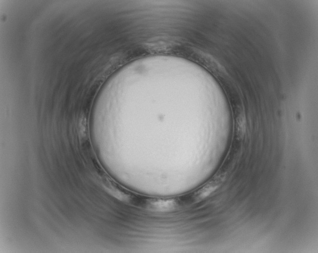 X0000078830081200612111530