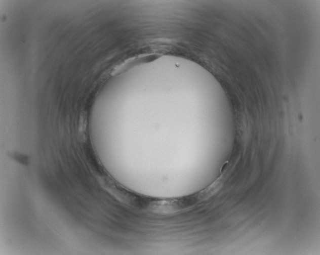 X0000078830082200612111530