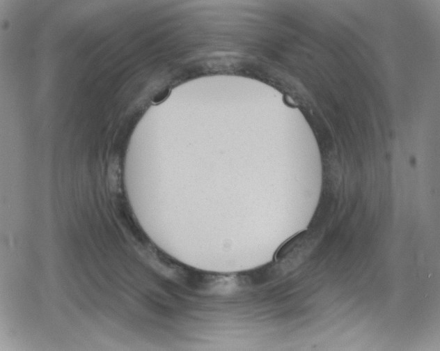 X0000078830083200612111530