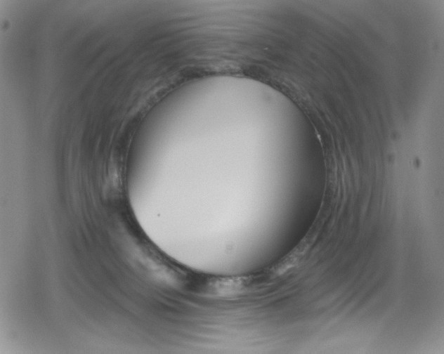 X0000078830084200612111530