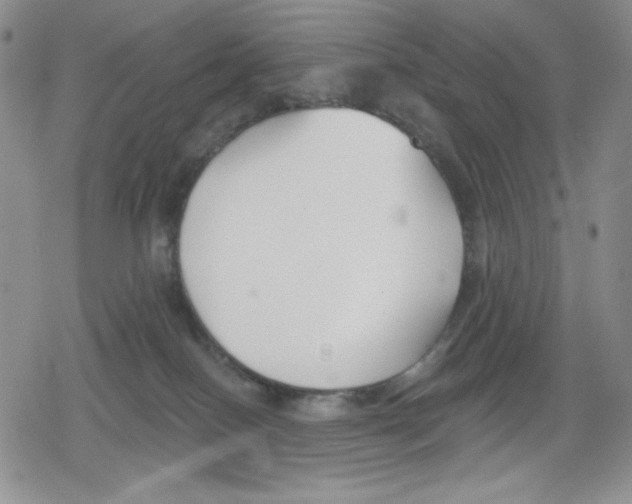 X0000078830086200612111530