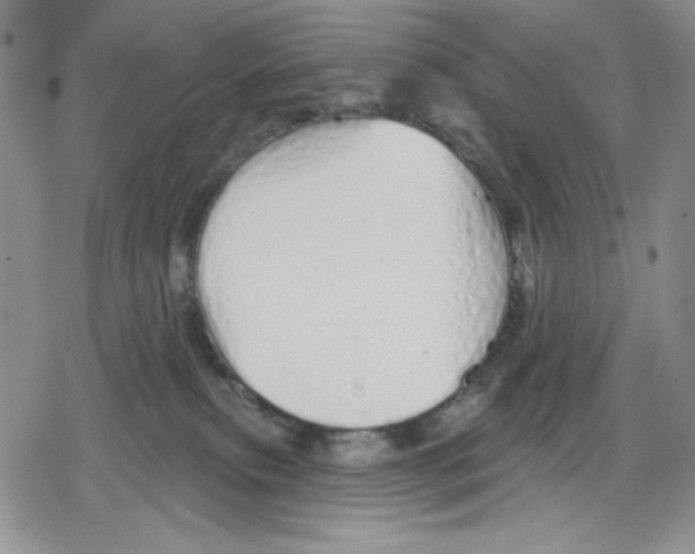 X0000078830087200612111530