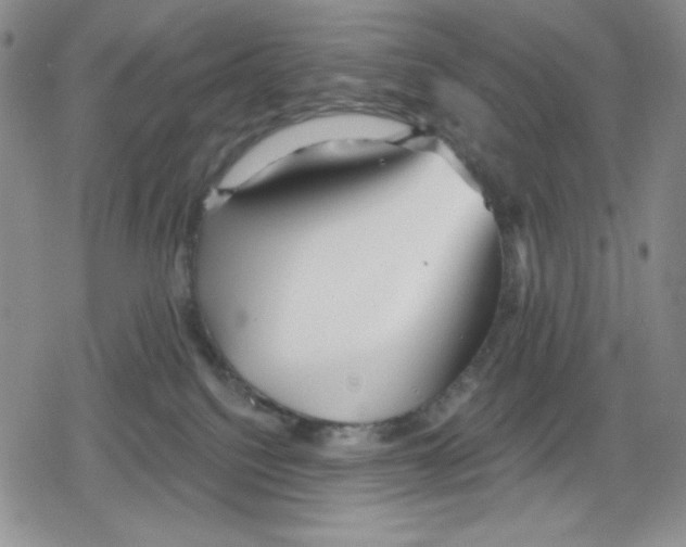 X0000078830088200612111530