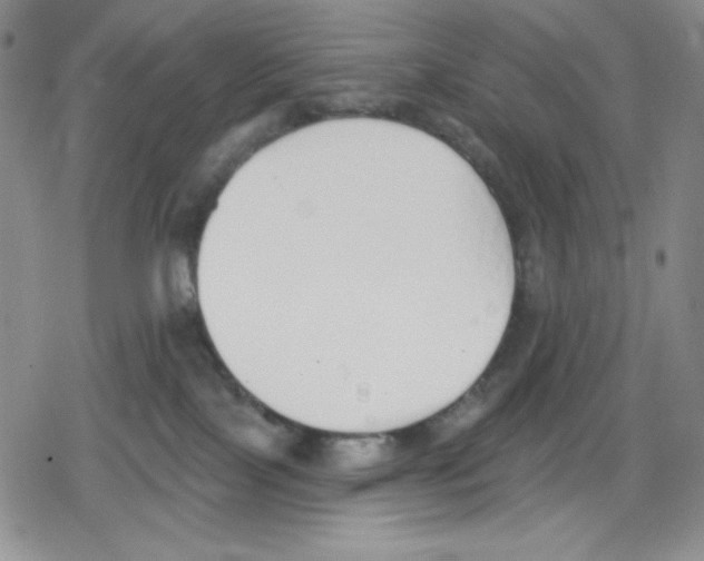 X0000078830089200612111530