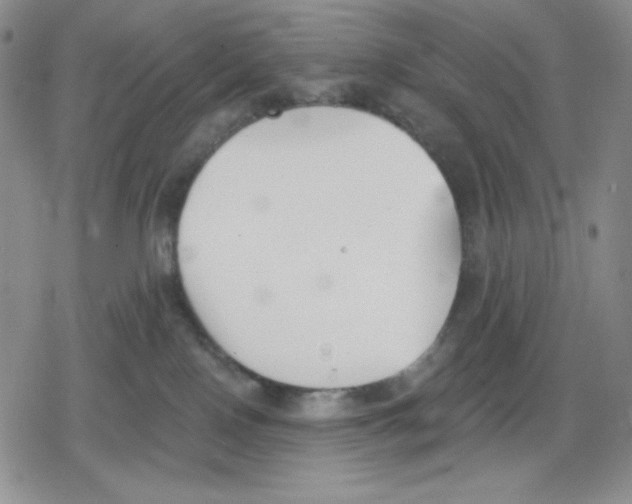 X0000078830090200612111530