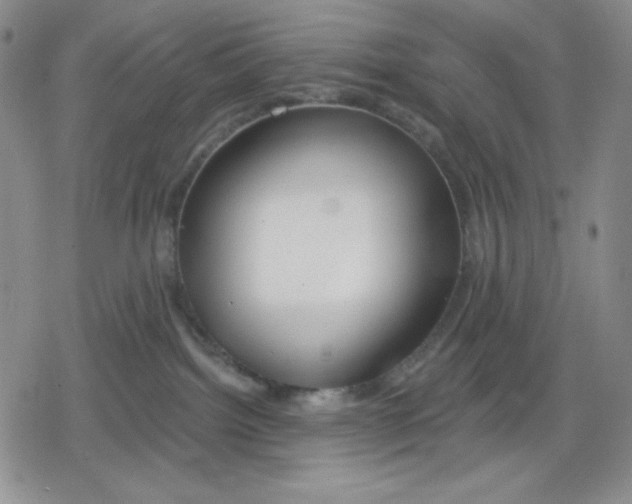 X0000078830092200612111530