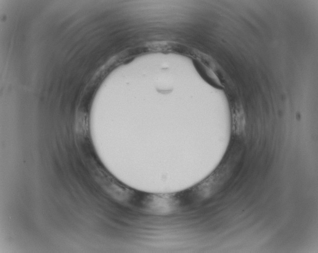 X0000078830093200612111530