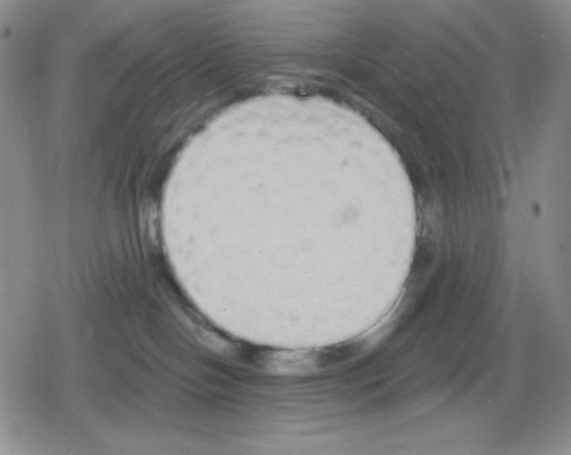 X0000078830094200612111530