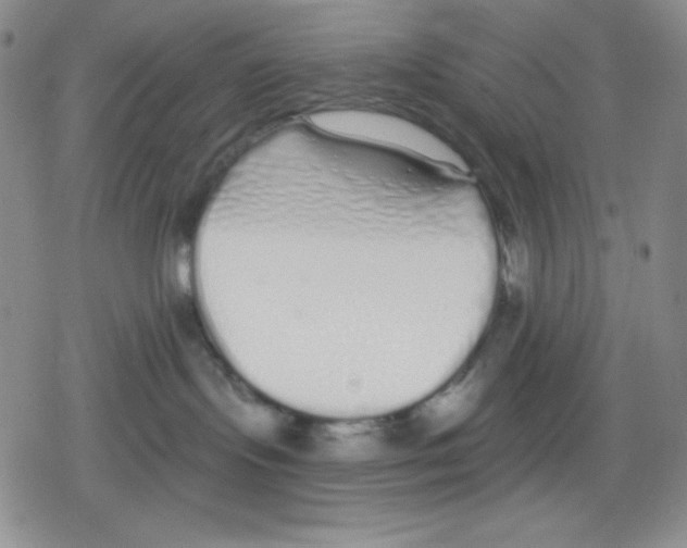 X0000078830095200612111530