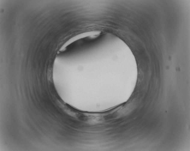 X0000078830096200612111530