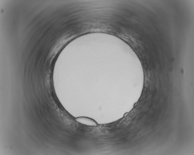 X0000078830098200612111530