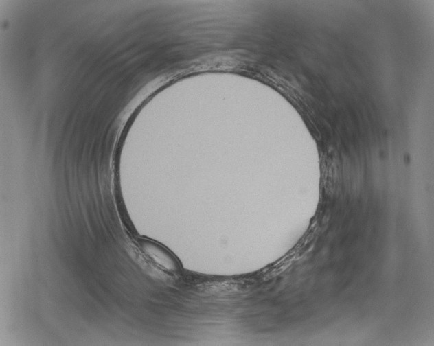 X0000078830100200612111529