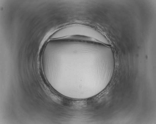 X0000078830102200612111529