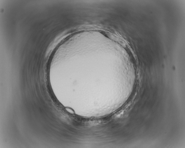 X0000078830103200612111529