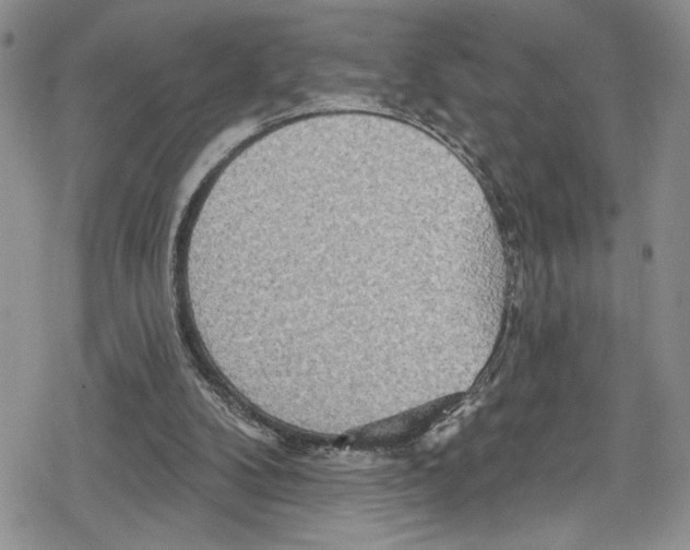 X0000078830104200612111529