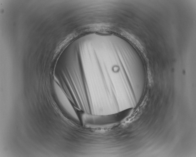 X0000078830105200612111529