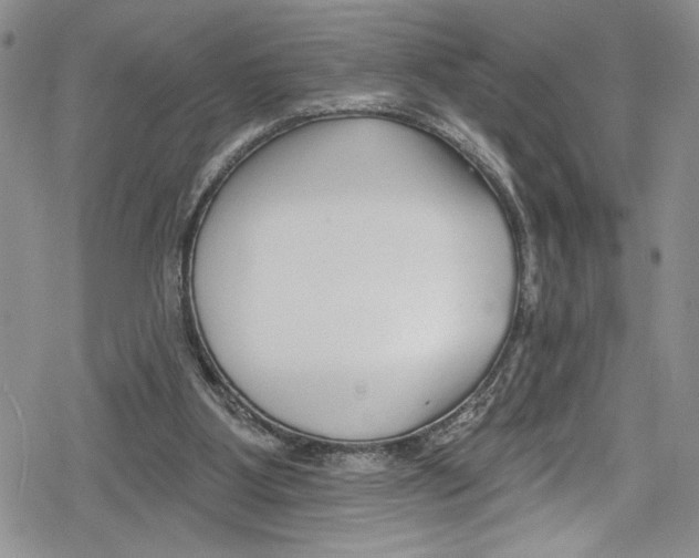 X0000078830107200612111529