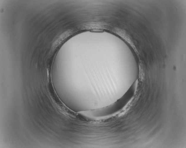 X0000078830109200612111529