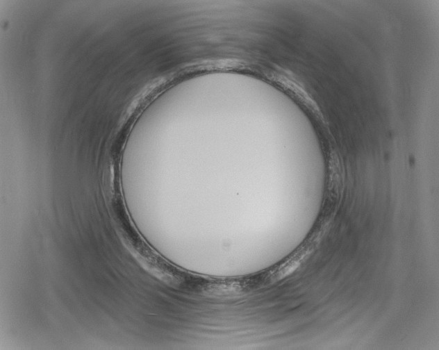 X0000078830110200612111529