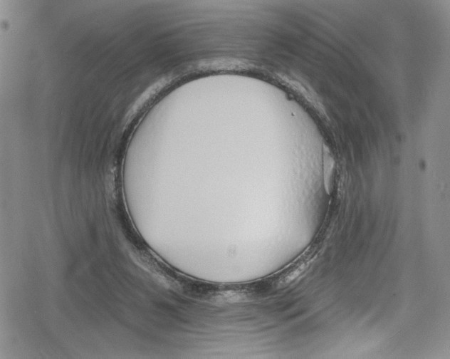 X0000078830111200612111529