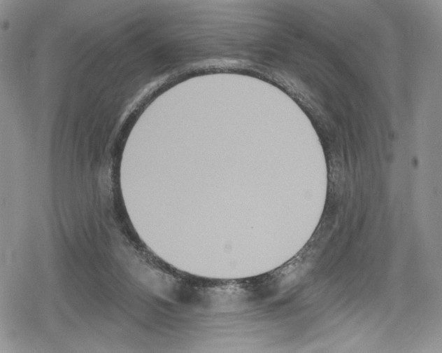 X0000078830112200612111529